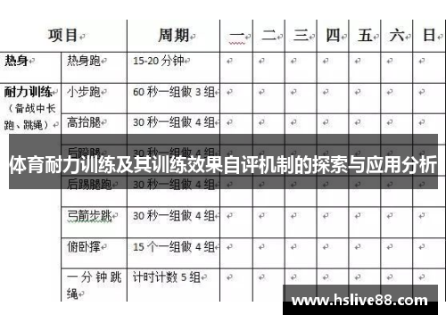 体育耐力训练及其训练效果自评机制的探索与应用分析